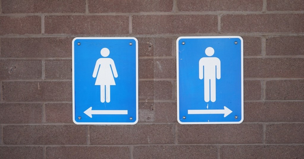 Perché al bagno delle donne c'è sempre la fila? Risponde la scienza