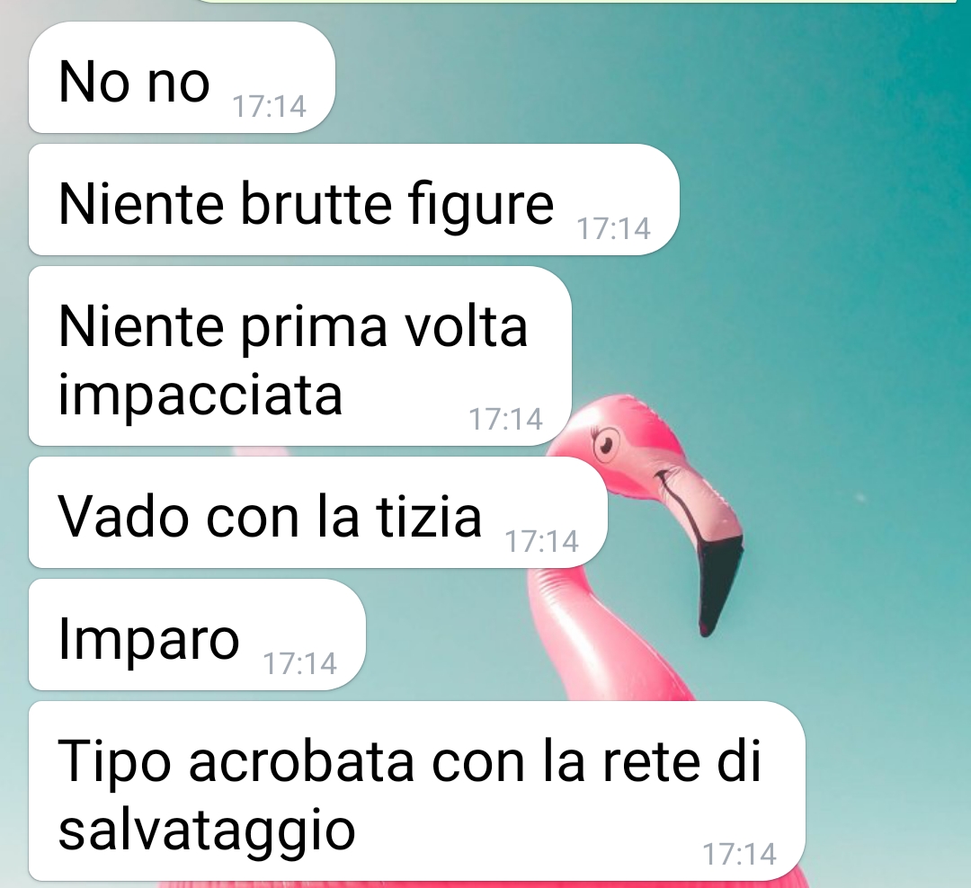 Il vergine