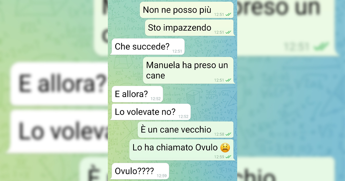 Ovulo