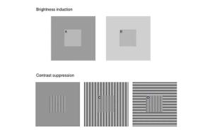 illusione ottica depressione 2